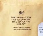 تیشرت پسرانه مدل تیرکس برند اچ اند ام - H&M - تصویر 4